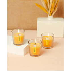 AuraDecor Gift Set of 3 Fragrance Votive Glass Candles (Burning Time 12 Hours Each) (Vanilla)